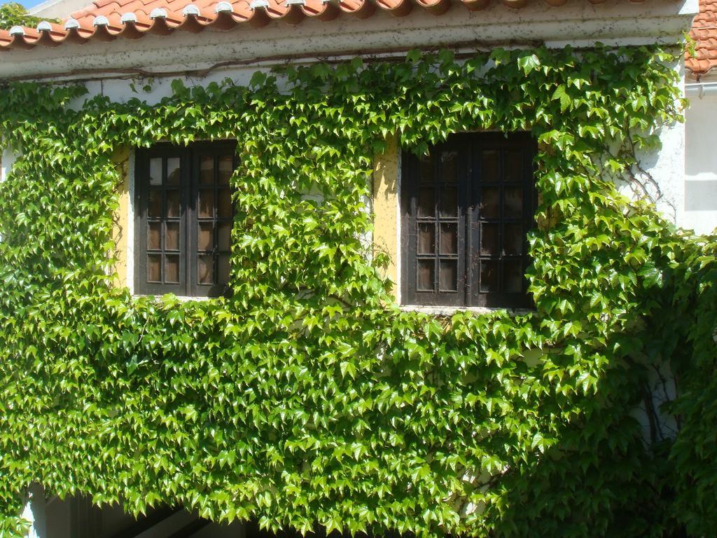 Rio Natural Vila Nova de Milfontes Exteriör bild